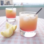 gin daisy cocktail recipe